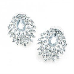 Earring - Shiny silver colour crystal oval earrings. -...