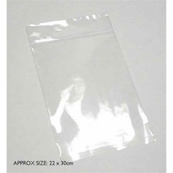22cm x 30cm plastic bag with sealable lip. One hundred...