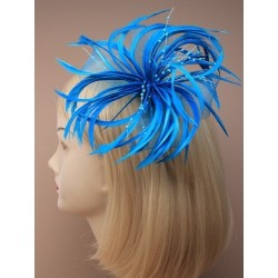 large looped net and feather fascinator on a forked clip...