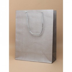 Gift Bag - Silver h24xw19xd8cm gift bag