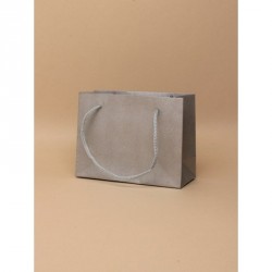 Gift Bag - Size : H11xW14xD6cm 
Silver printed kraft...