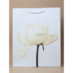 Gift Bag - Size : H32xW26xD10cm Cream petal flower...
