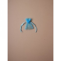 Organza Gift Bag - Size approx: 7 x 5cm Aquamarine...
