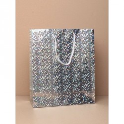 Gift Bag - Size : H215xW18xD75cm Silver holographic foil...