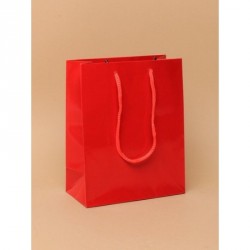 Gift Bag - Size : H15xW12xD6cm Glossy finish Red giftbag...