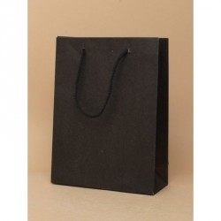 Gift Bag - Size : H20xW15xD6cm Black printed kraft paper...