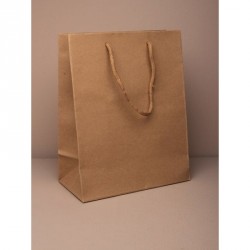 Gift Bag - Size : H245xW19xD8cm Natural brown kraft paper...