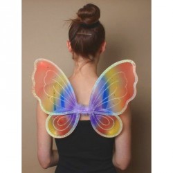 Fairy Wings - Size : 38x34cm Rainbow coloured fairy wings...