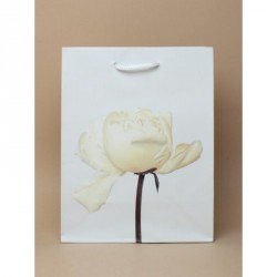 Gift Bag - Size : H23xW18xD9cm Cream petal flower printed...