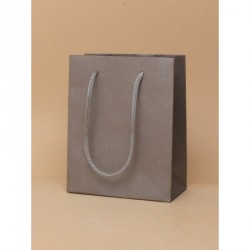 Gift Bag - Size : H145xW115xD6cm Silver printed kraft...