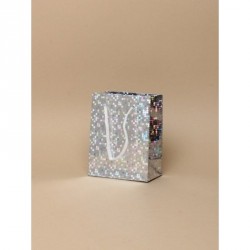 Gift Bag - Size : H10xW8xD6cm Silver holographic foil...