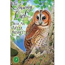 Metal Sign - The Tawny Owl Small Steel Sign 200mm x 150mm...