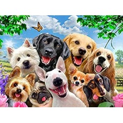 Metal Sign - Novelty Metal Wall Kitchen Plaque Sign Dog...