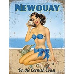 Metal Sign - Newquay Pin-Up Retro METAL Wall Sign Plaque...