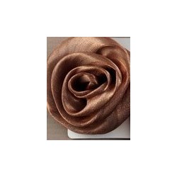Beak Hair clip & brooch pin - Satin rose forked hair grip...
