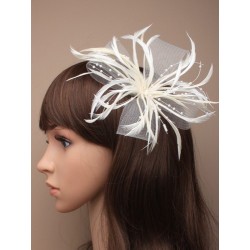 Brooch - Hair Clip - large looped net and feather...