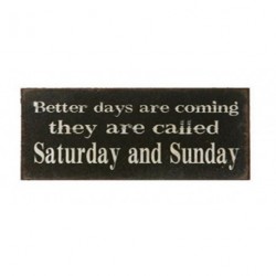 Fridge Magnet 5x10cm - Better days are coming fridge magnet