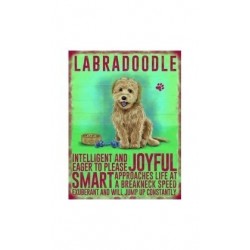 Novelty Metal Sign - Dog Lover Sign 15x20cm -labradoodle...