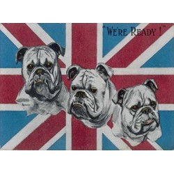 Sign 15x20cm - We're Ready! - British Bull dog Metal Sign