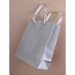 Silver Gift Bag 15cm x 12cm x 6cm (approximately)