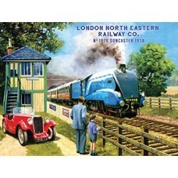 The Mallard Metal Wall Sign 10445 15x20cm sign