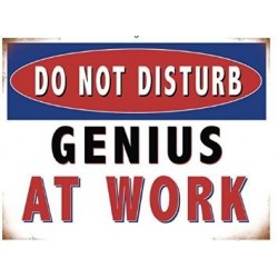 Do Not Disturb Genius At Work Vintage Funny Metal Sign...