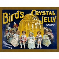 Novelty Metal Sign - 15x20cm BIRD'S CRYSTAL JELLY POWDER...