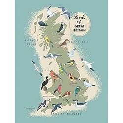Metal Sign 15x20cm - Birds Of Great Britain metal sign