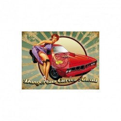Novelty Metal Sign - 15x20cm Wall Sign Dangerous Curves...
