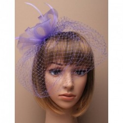 Fascinator Headband - Lavender looped net and feathers...