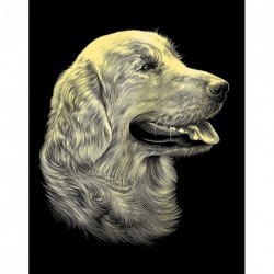 Reeves - Copperfoil Retriever Portrait