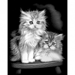 Reeves - Silver Scraperfoil Fluffy Kittens