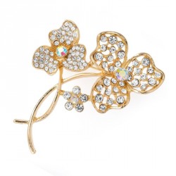 Brooch - Gold colour crystal and AB crystal design...